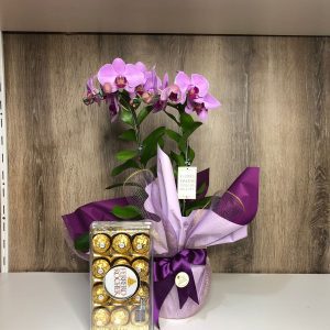 Orquídea com Ferrero